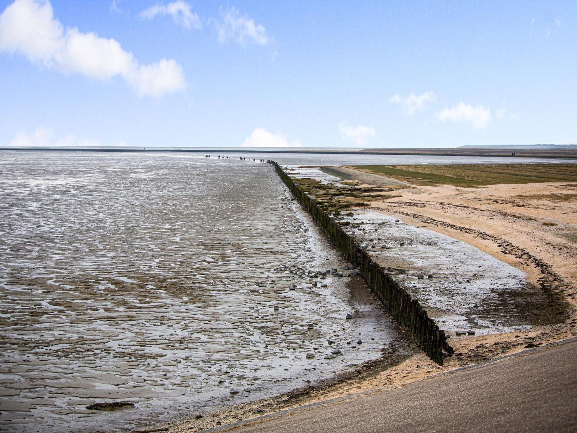 Fantastic Luxury Vacation Home And Next To The Wadden Sea Paesens Exterior photo